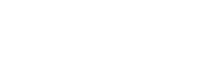 Logo MiCROSEG